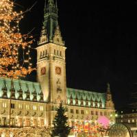 0729_0149 Weihnachtsbeleuchtung, Lichterketten in den Strassenbäumen - Rathausgebäude, beleuchet. | 